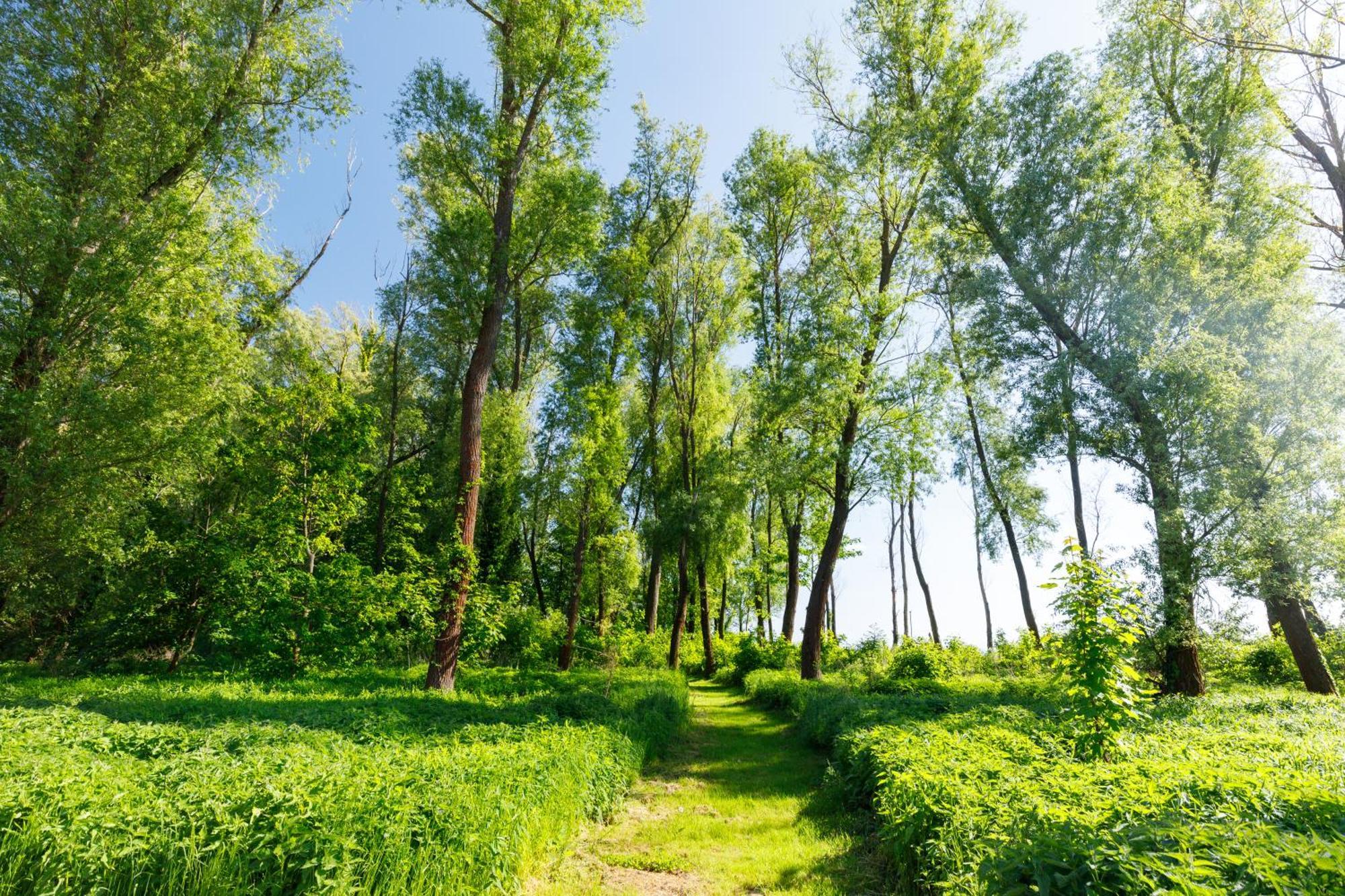 Fűzliget Blue4 Apartman Balatonfůzfő Kültér fotó