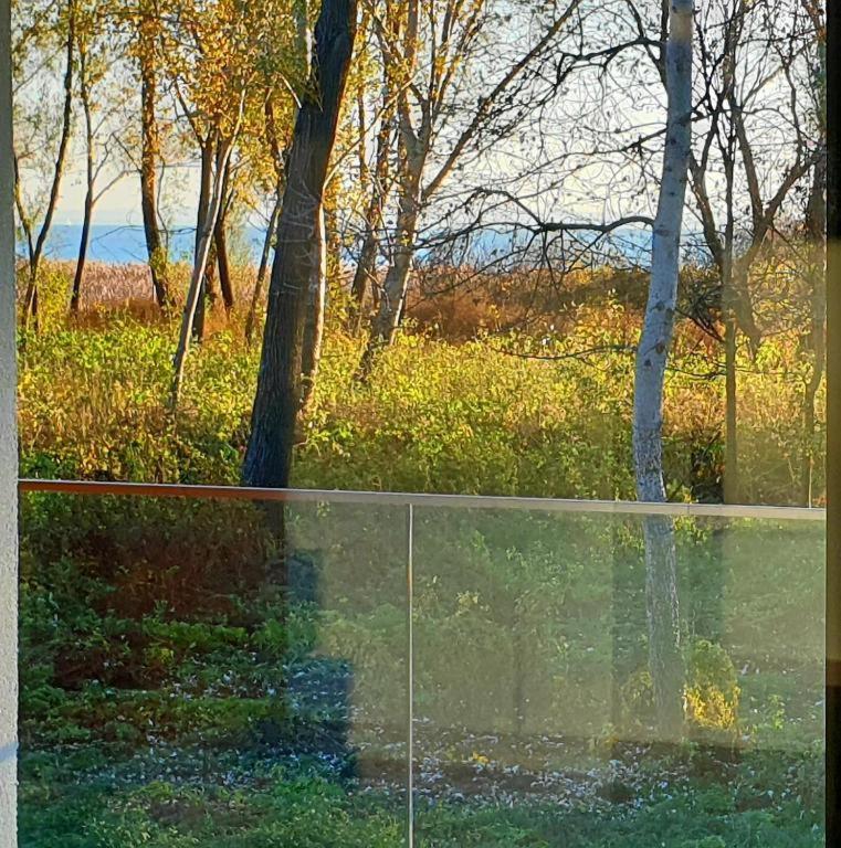 Fűzliget Blue4 Apartman Balatonfůzfő Kültér fotó